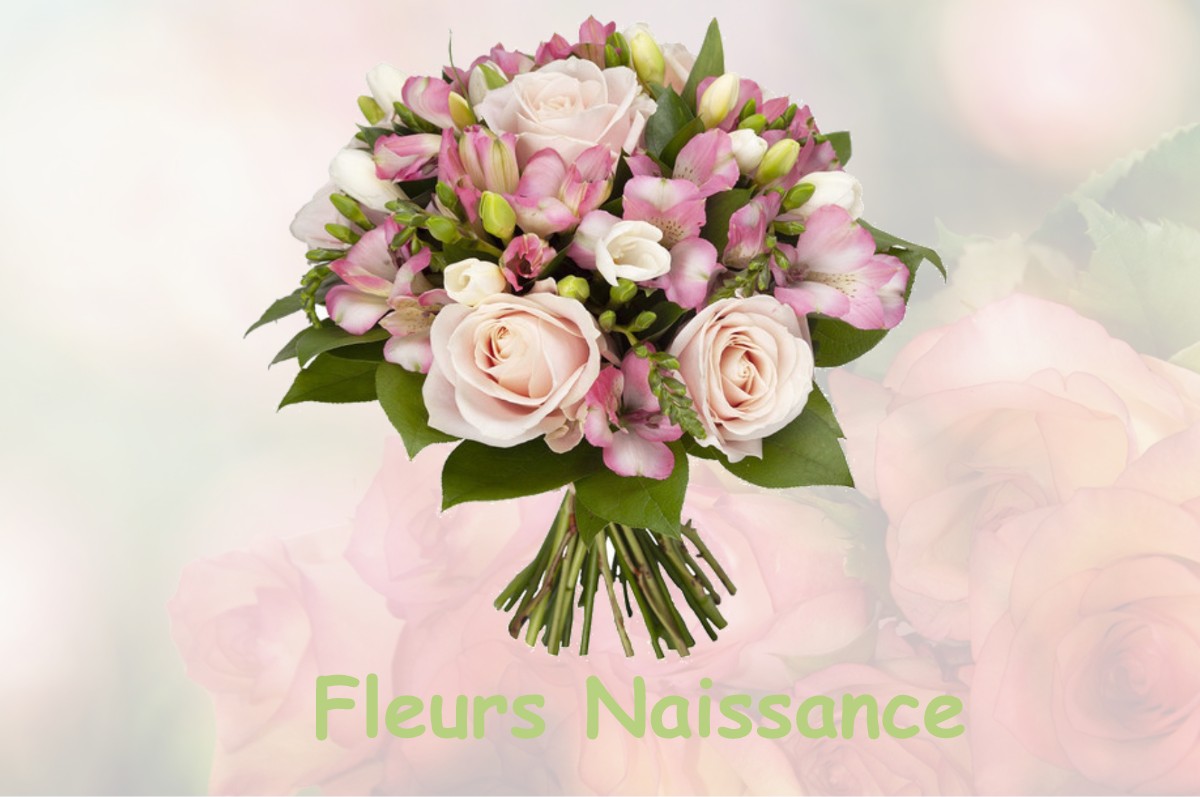 fleurs naissance CAMPAGNE-LES-HESDIN